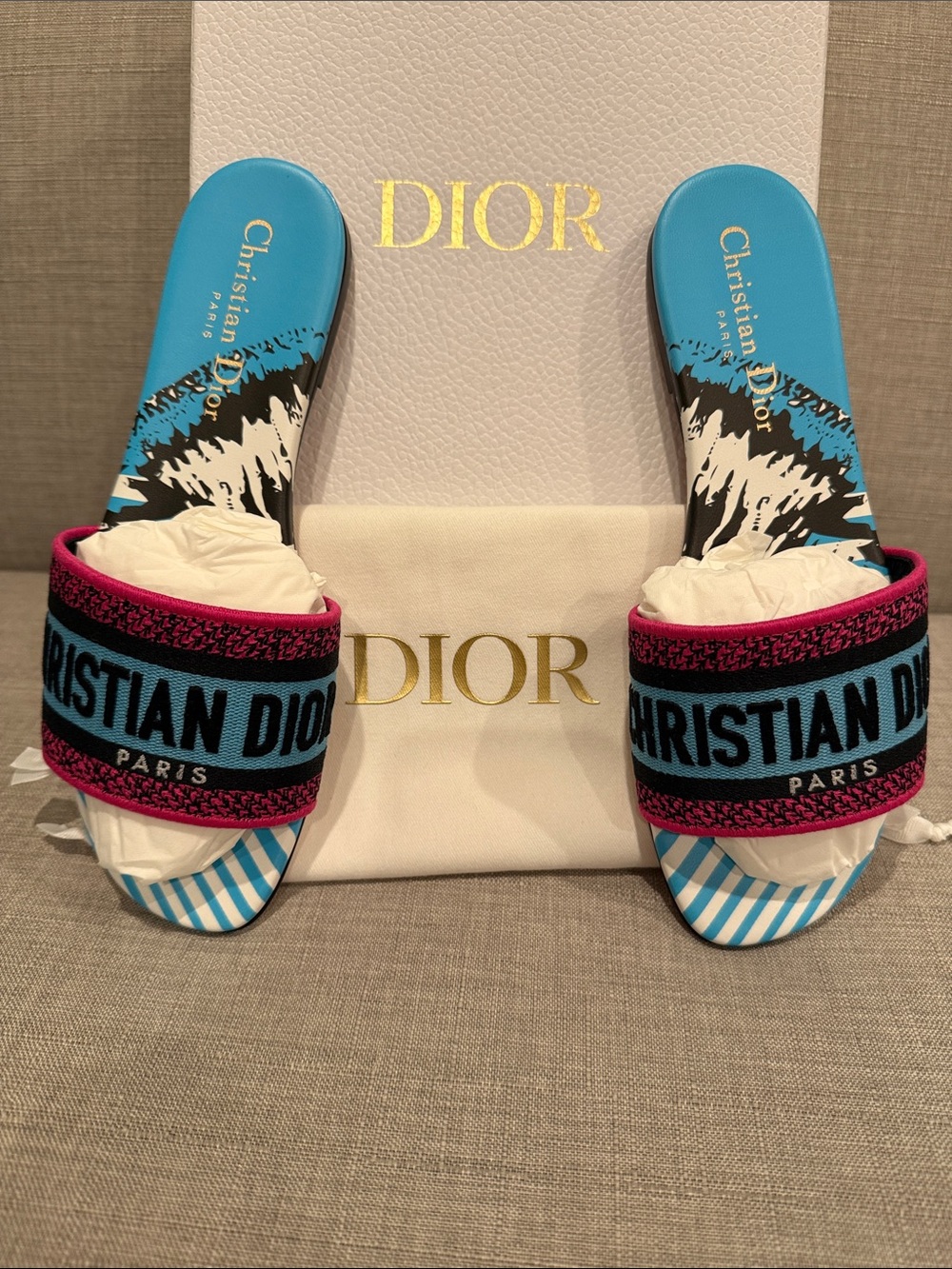 Dior Blue & Pink Logo Slide Sandals